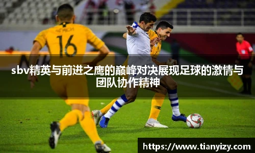 6T体育